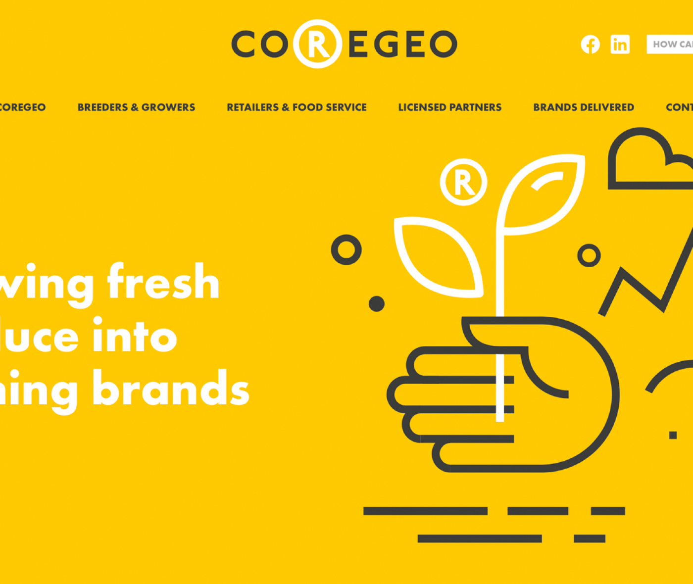Coregeo rebrand reflects wider focus on growing successful fresh produce brands