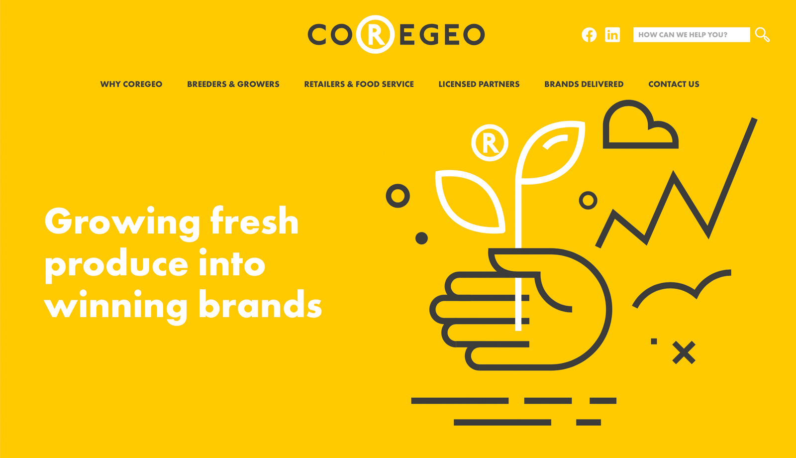 Coregeo rebrand reflects wider focus on growing successful fresh produce brands