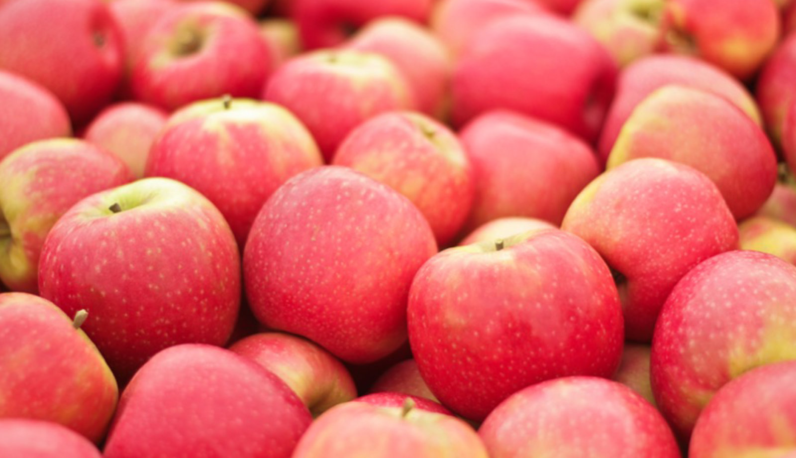 Pink Lady® donates 50,000 apples to FareShare to combat holiday hunger