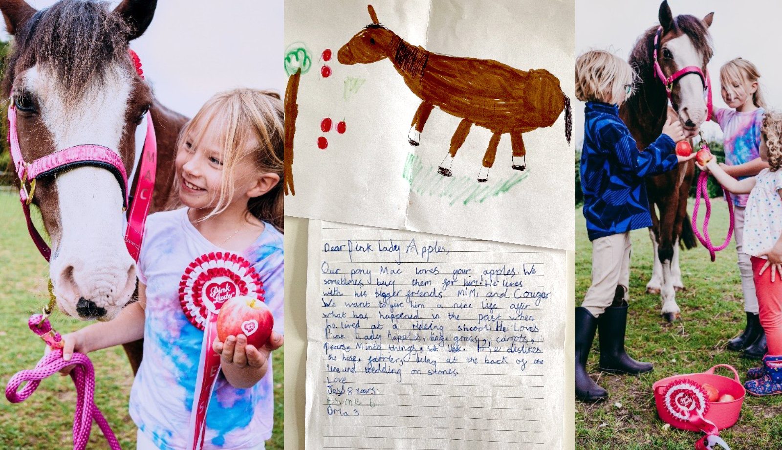 Children’s letter about their Pink Lady® apple loving pony prompts generous donation to horse sanctuary