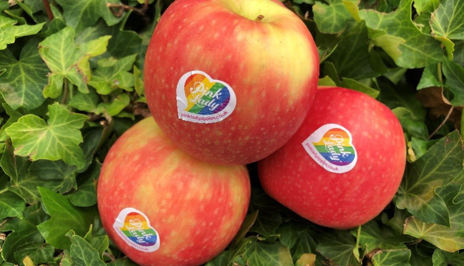Pink Lady® celebrates Digital Pride with Co-op exclusive competition