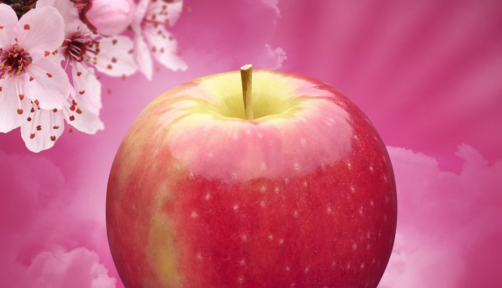Sweet summer of success for Pink Lady®