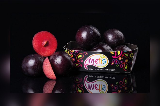 Plum job for Coregeo
