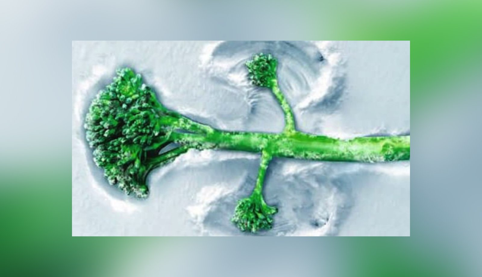 Record sales of Tenderstem®