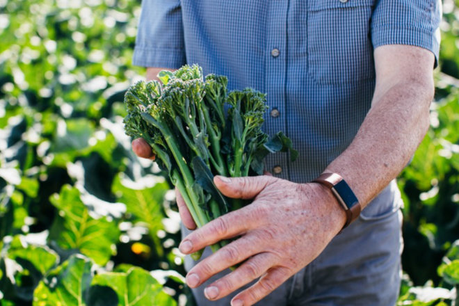 Tenderstem® broccoli looks forward to UK season with confidence
